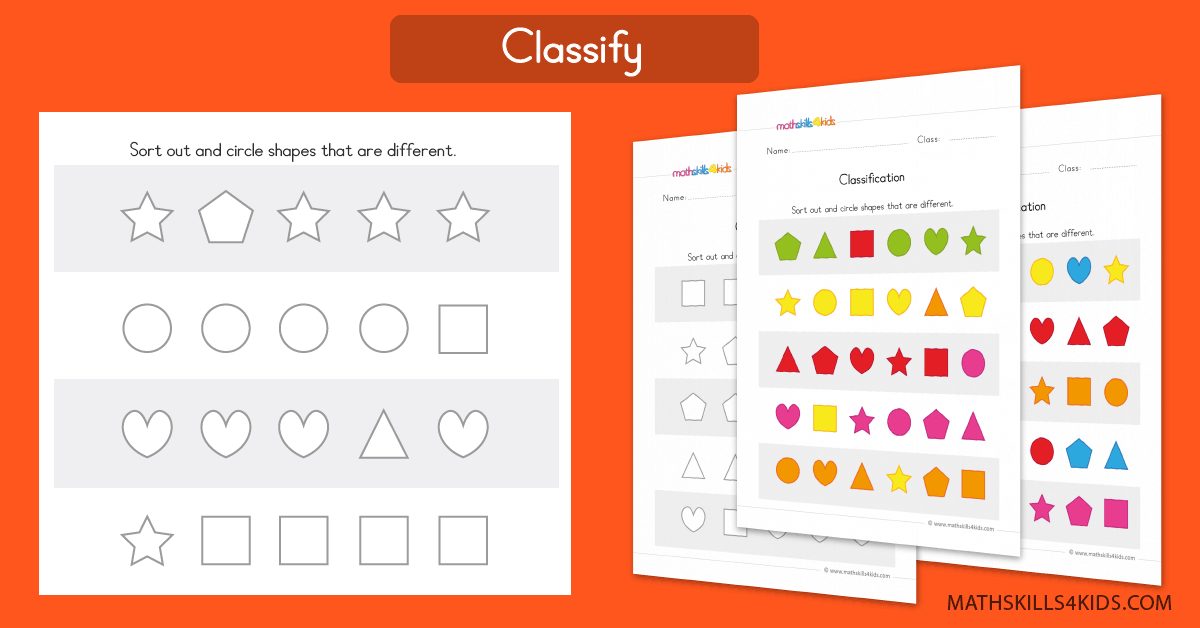 Sorting worksheets for Preschool | Classifying worksheets PDF