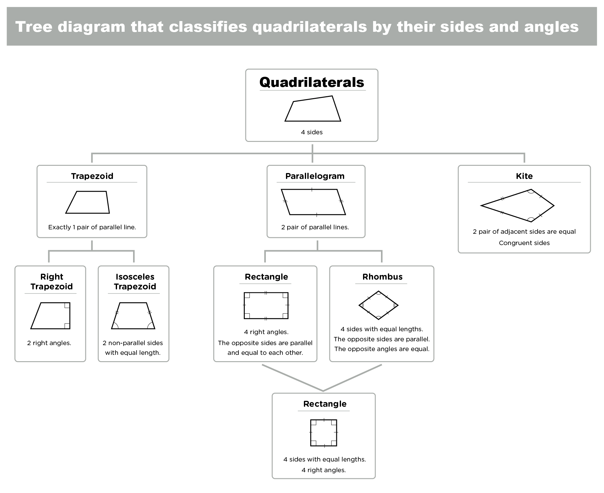 image of a tree diagram that classifies quadrilaterals by their sides and angles