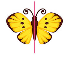picture of a butterfly with line of symmetry dividing its body in two identic parts