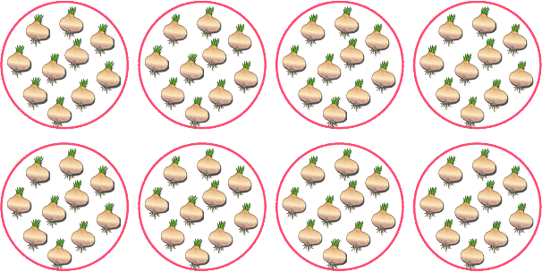 learning-multiplication-with-equal-group_05