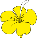 fleur-jaune