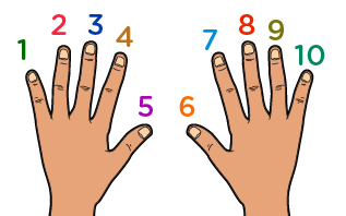 fingers numbers 1 10